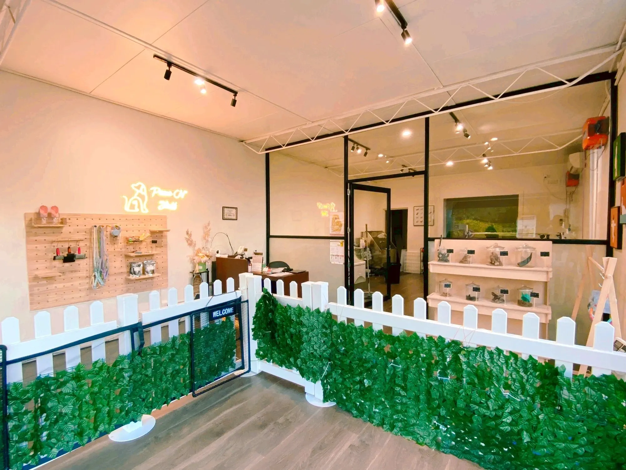 Inside the Paws N' Stuff grooming salon, with white picket fencing and green hedge walls